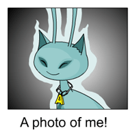 https://images.neopets.com/template_images/aisha_ghost_me.gif