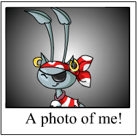 https://images.neopets.com/template_images/aisha_pirate_me.gif