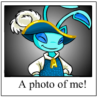 https://images.neopets.com/template_images/aisha_royalboy_me.gif