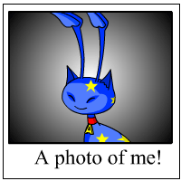 https://images.neopets.com/template_images/aisha_starry_me.gif