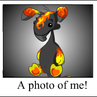 https://images.neopets.com/template_images/blumaroo_fire_me.gif