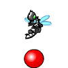 https://images.neopets.com/template_images/buzz_skunk_bounce.gif