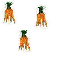 https://images.neopets.com/template_images/carrot.gif