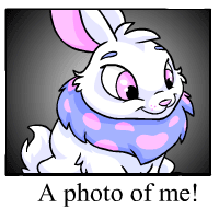 https://images.neopets.com/template_images/cybunny_blue_me.gif