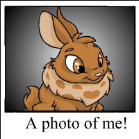 https://images.neopets.com/template_images/cybunny_brown_me.gif