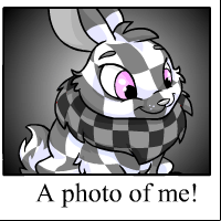 https://images.neopets.com/template_images/cybunny_checkered_me.gif