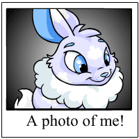 https://images.neopets.com/template_images/cybunny_cloud_me.gif