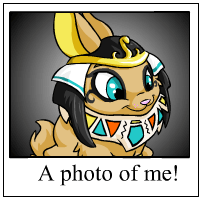 https://images.neopets.com/template_images/cybunny_desert_me.gif