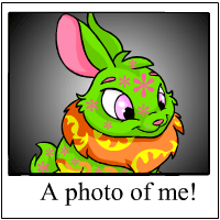 https://images.neopets.com/template_images/cybunny_disco_me.gif