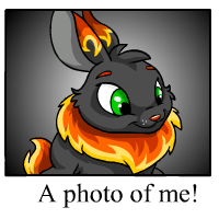 https://images.neopets.com/template_images/cybunny_fire_me.gif