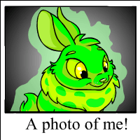 https://images.neopets.com/template_images/cybunny_glowing_me.gif