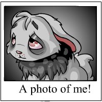 https://images.neopets.com/template_images/cybunny_grey_me.gif