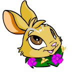 https://images.neopets.com/template_images/cybunny_island_giggle.gif