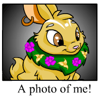 https://images.neopets.com/template_images/cybunny_island_me.gif