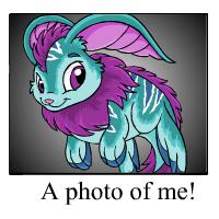 https://images.neopets.com/template_images/cybunny_maraquan_me.gif