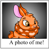 https://images.neopets.com/template_images/cybunny_orange_me.gif