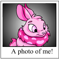 https://images.neopets.com/template_images/cybunny_pink_me.gif