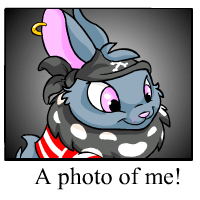 https://images.neopets.com/template_images/cybunny_pirate_me.gif