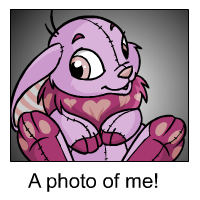 https://images.neopets.com/template_images/cybunny_plushie_me.gif