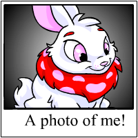 https://images.neopets.com/template_images/cybunny_red_me.gif
