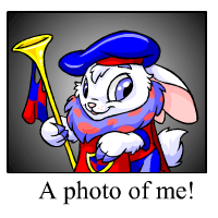 https://images.neopets.com/template_images/cybunny_royalboy_me.gif