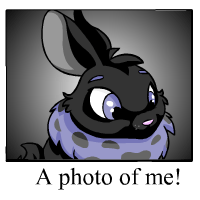 https://images.neopets.com/template_images/cybunny_shadow_me.gif