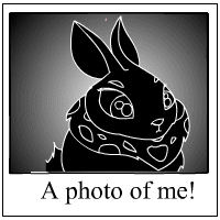https://images.neopets.com/template_images/cybunny_shadowed_me.gif