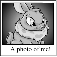 https://images.neopets.com/template_images/cybunny_silver_me.gif