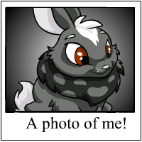 https://images.neopets.com/template_images/cybunny_skunk_me.gif