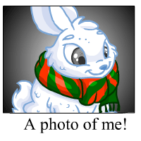 https://images.neopets.com/template_images/cybunny_snow_me.gif