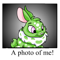 https://images.neopets.com/template_images/cybunny_speckled_me.gif