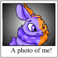 https://images.neopets.com/template_images/cybunny_split_me.gif