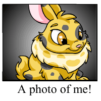 https://images.neopets.com/template_images/cybunny_spotted_me.gif