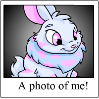 https://images.neopets.com/template_images/cybunny_striped_me.gif