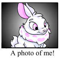 https://images.neopets.com/template_images/cybunny_white_me.gif