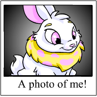 https://images.neopets.com/template_images/cybunny_yellow_me.gif