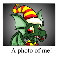 Christmas draik