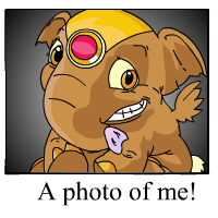 https://images.neopets.com/template_images/elephante_brown_me.gif