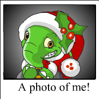 https://images.neopets.com/template_images/elephante_christmas_me.gif