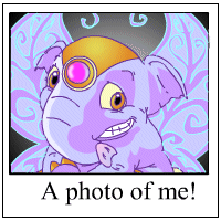 https://images.neopets.com/template_images/elephante_faerie_me.gif