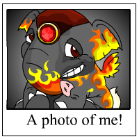 https://images.neopets.com/template_images/elephante_fire_me.gif