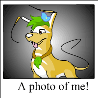 https://images.neopets.com/template_images/gelert_island_me.gif