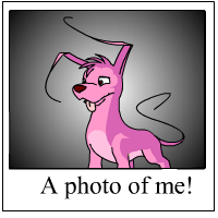 https://images.neopets.com/template_images/gelert_pink_me.gif