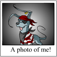 https://images.neopets.com/template_images/gelert_pirate_me.gif