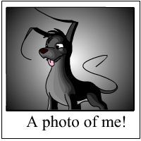 https://images.neopets.com/template_images/gelert_shadow_me.gif