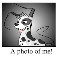 https://images.neopets.com/template_images/gelert_spotted_me.gif