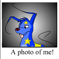 https://images.neopets.com/template_images/gelert_starry_me.gif