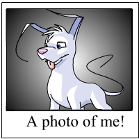 https://images.neopets.com/template_images/gelert_white_me.gif