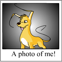 https://images.neopets.com/template_images/gelert_yellow_me.gif