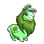 https://images.neopets.com/template_images/gnorbu_greenwink.gif
